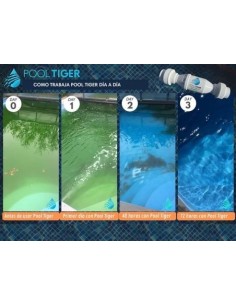 POOL TIGER 57m3/h 2
